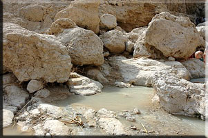 Isreal Pool
